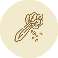 Celery Seed